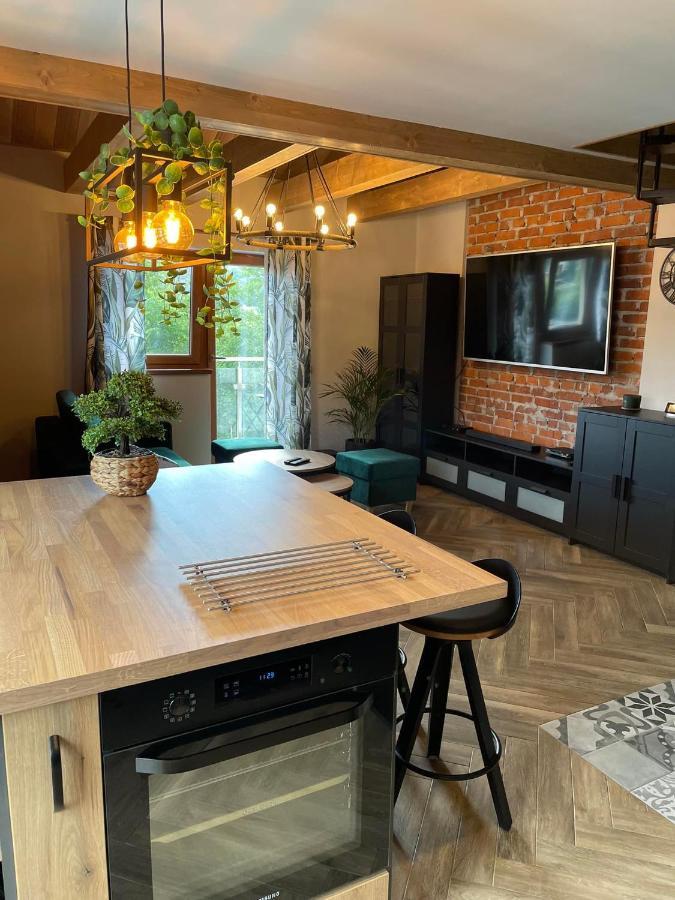 Apartamenty Miejscowka - Apartamenty Z Widokiem Na Gory - Bezplatny Parking Zakopane Exterior foto
